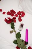 Stacy Silver - Bed Of Roses s1wg4244fu
