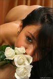 Kamilla - White Rose10ggudcold.jpg