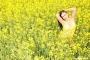 Aria Giovanni - Yellow Field of Flowers -r11li410sa.jpg