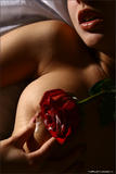 Anna M - Bodyscape: Erotic Rosez0h97xujwi.jpg